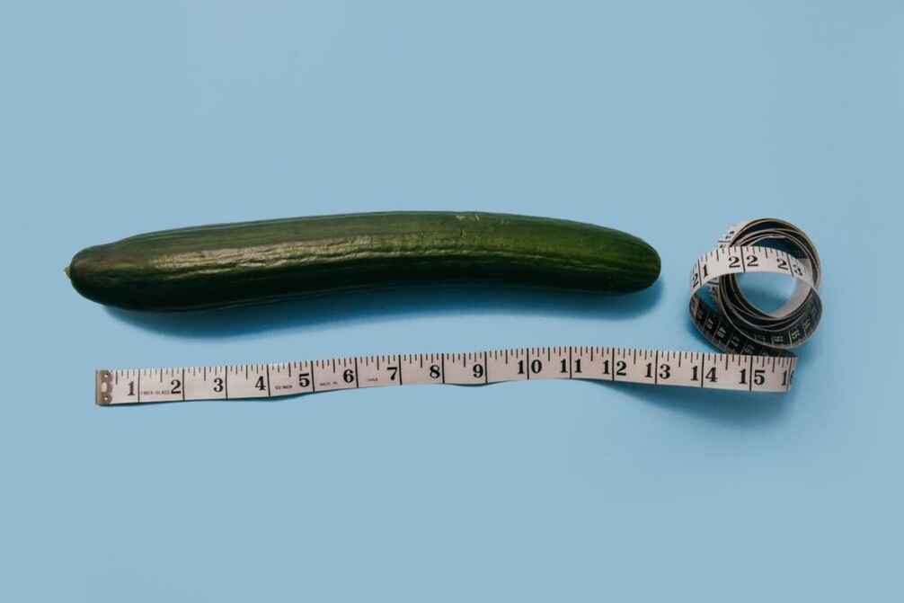 Mesure de la taille du pénis en utilisant l'exemple de concombre